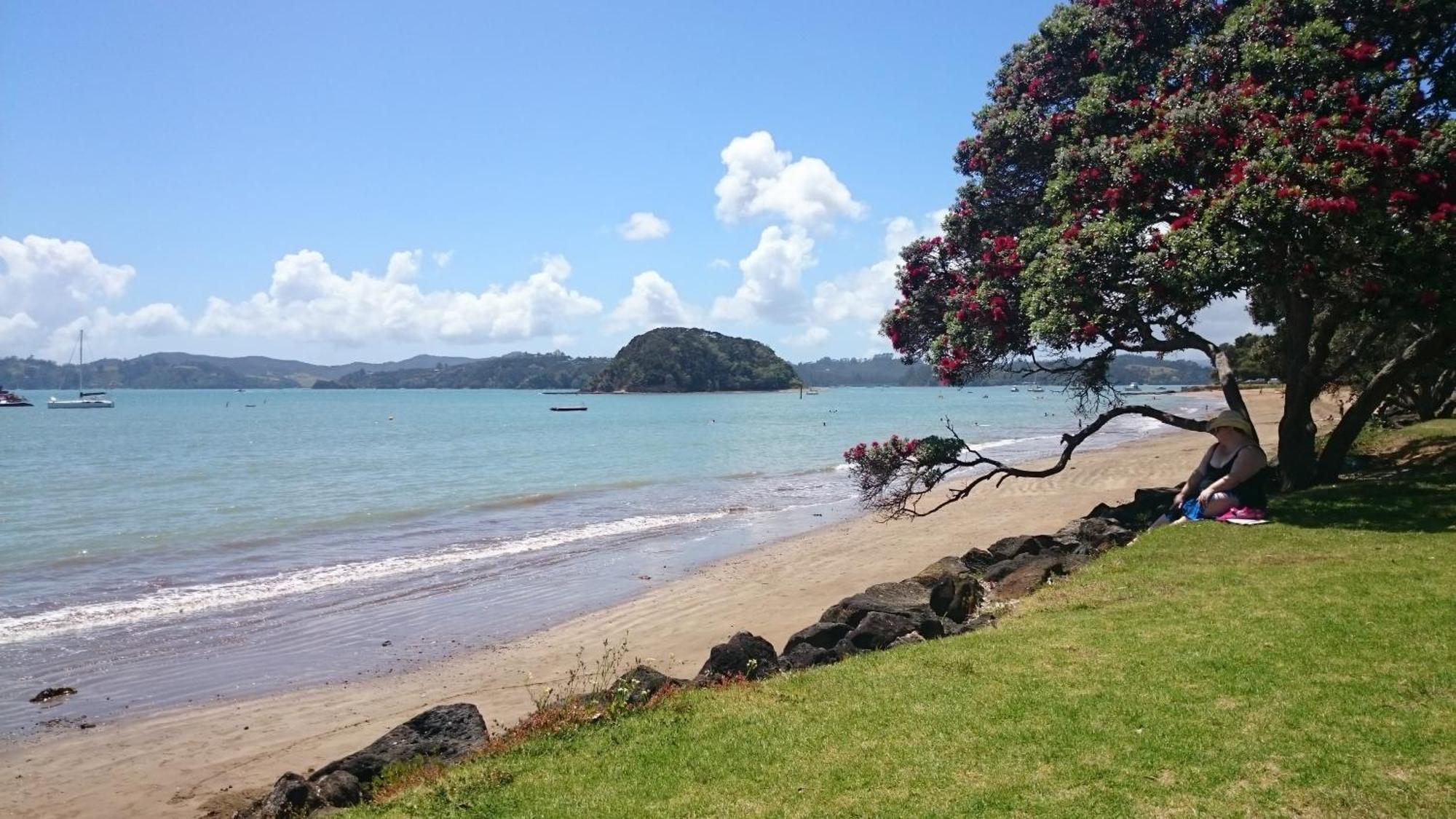 Ala Moana Motel Paihia Eksteriør bilde